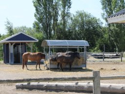 img_3319_web